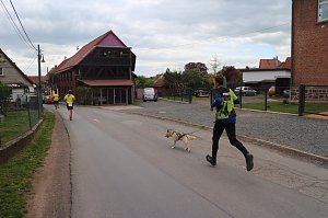 Harztorlauf und L&auml;mmerfest