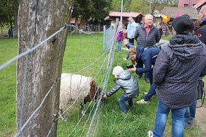 Harztorlauf und L&auml;mmerfest