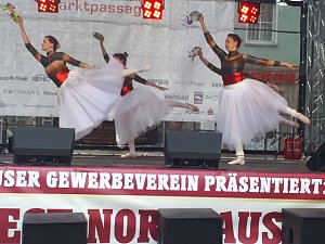 Weinfest-Nachlese und Ausblick