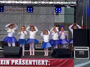 Weinfest-Nachlese und Ausblick