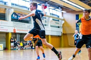 NSV-Handballer sind Vize-Landesmeister