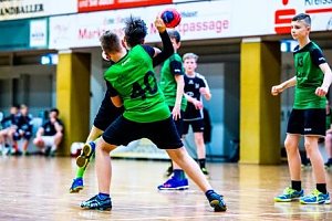 NSV-Handballer sind Vize-Landesmeister