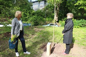 Eine &Auml;ra geht zu Ende - Gisela Hartmann wurde heute als Vorsitzende der B&uuml;rgerstiftung Park Hohenrode verabschiedet
