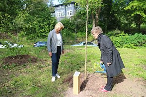 Eine &Auml;ra geht zu Ende - Gisela Hartmann wurde heute als Vorsitzende der B&uuml;rgerstiftung Park Hohenrode verabschiedet
