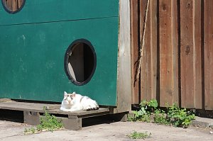 Besuch in der LandWerkstatt Heringen