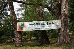 5. Ahornparkfest