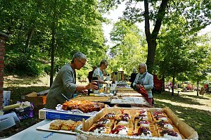5. Ahornparkfest