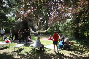M&auml;rchenpicknick im Meyenburg-Park
