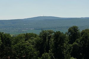 Sachsen-Anhalt-Tag in Quedlinburg