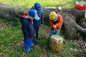 Die Kinder des Waldkindergarten bauen ein Insektenhotel