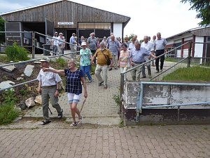 Schloss, Waffen, Haflinger, Reiterspiele, Stutenmilchlik&ouml;r