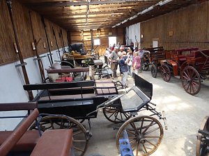 Schloss, Waffen, Haflinger, Reiterspiele, Stutenmilchlik&ouml;r