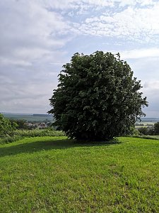 Impressionen rund um Haferungen