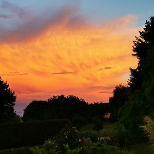 Wolkentiere