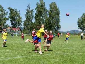 Erfolgreiche NSV-M&auml;dels
