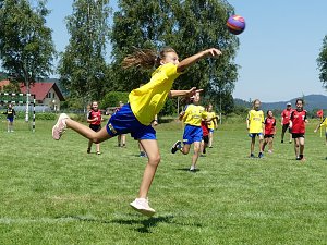 Erfolgreiche NSV-M&auml;dels