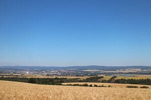Sommerfest am Windpark