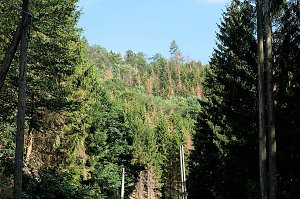 Peter Blei an der Neust&auml;dter Talsperre