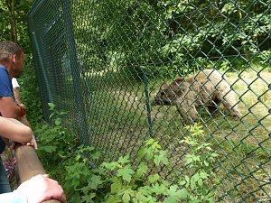 Spende f&uuml;r den B&auml;renpark