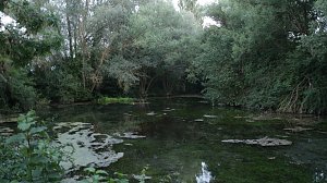 Fledermauswanderung an der Salzaquelle