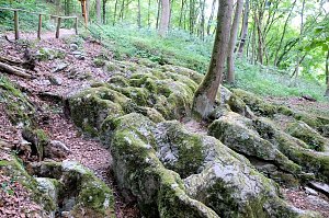 Unterwegs in Questenberg