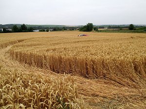 Kein Bett im Kornfeld
