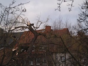 Der Tag danach - Löbnitzstraße