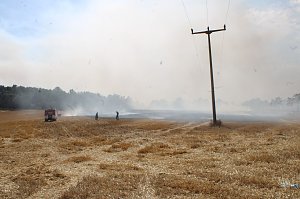 Gro&szlig;brand zwischen Ellrich und Werna