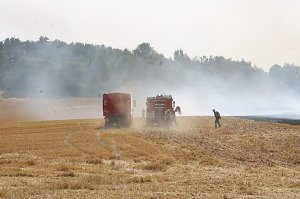Gro&szlig;brand zwischen Ellrich und Werna