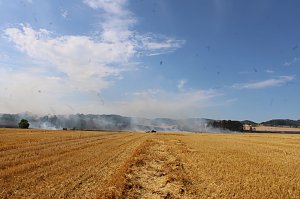 Gro&szlig;brand zwischen Ellrich und Werna