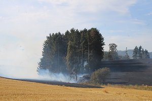 Gro&szlig;brand zwischen Ellrich und Werna