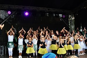 25. Altstadtfest