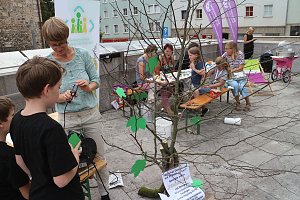 1. Friedensfest und 11. Treppenk&auml;ferfest in Nordhausen