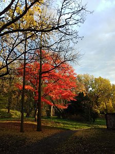 Indian summer