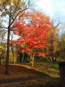 Indian summer