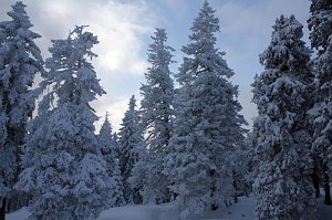 Bilder vom Brocken