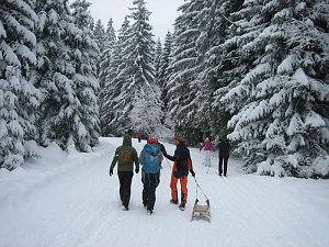 Bilder vom Brocken