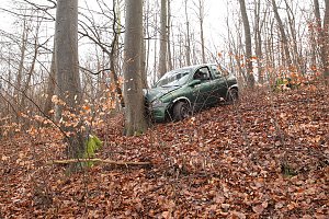 auto im Wald
