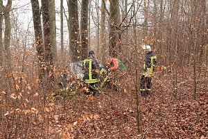 auto im Wald