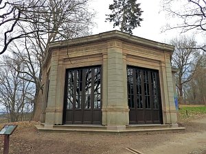 Winterlinge im Februar