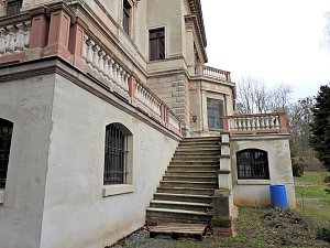 Winterlinge im Februar