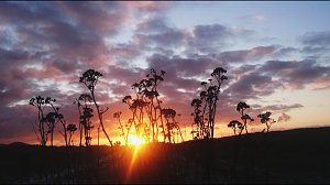 Morgensonne &uuml;ber Osterode