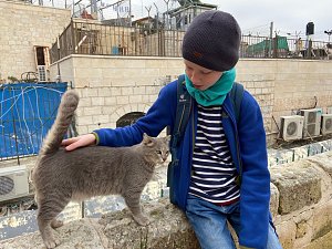 Besuch der Gedenkst&auml;tte Yad Vashem und Spaziergang durch die Jerusalemer Altstadt