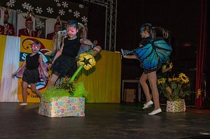 Salzaer N&auml;rrinnen und Narren feierten im Jugendclubhaus
