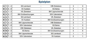 SV National Auleben Hallenkreismeister