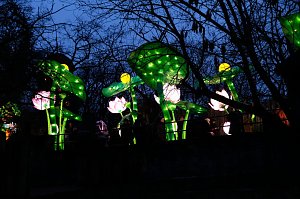 Lichterwelten