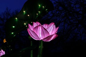 Lichterwelten