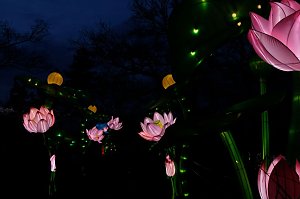 Lichterwelten