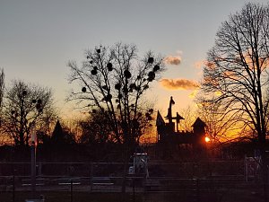 Abendstimmung auf dem Petersberg