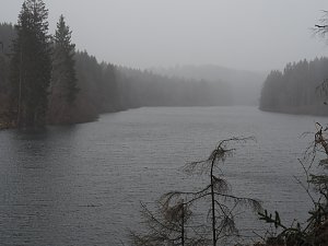 Der letzte Schnee und Vorboten des Fr&uuml;hlings